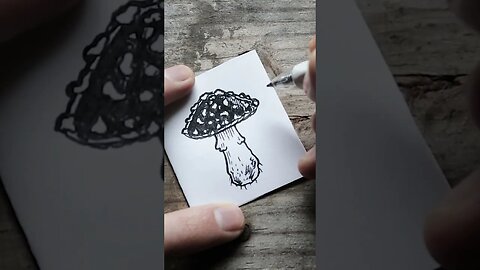 🍄 Mushroom Miniature Illustration 🍄