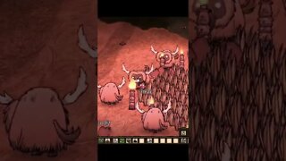terrible plan - Don't Starve Together