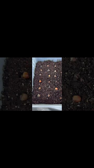 To My Surprise!!! #shorts