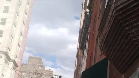 Police Scare. Near Dog Walk Megaphone In Use 📣