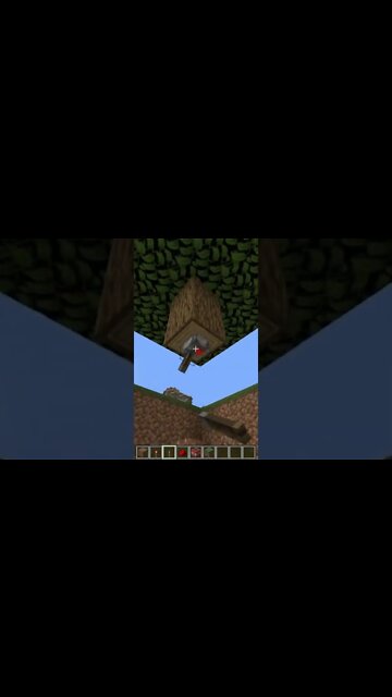 Minecraft #tiktok #Shorts