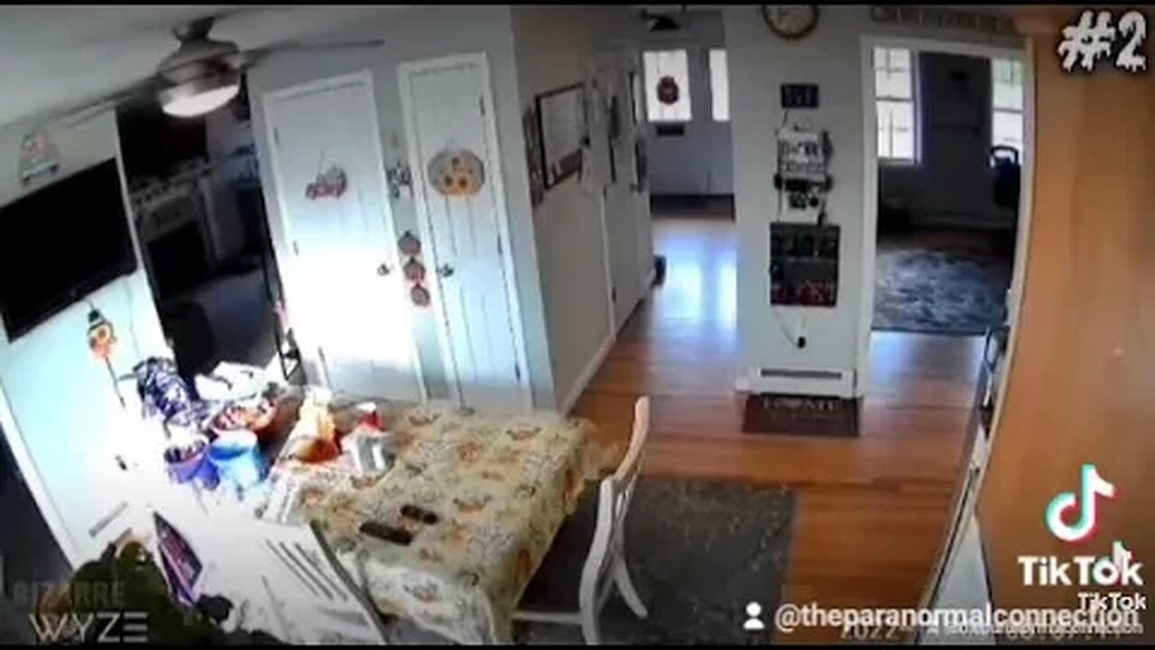 Troy,and the Haunted Home