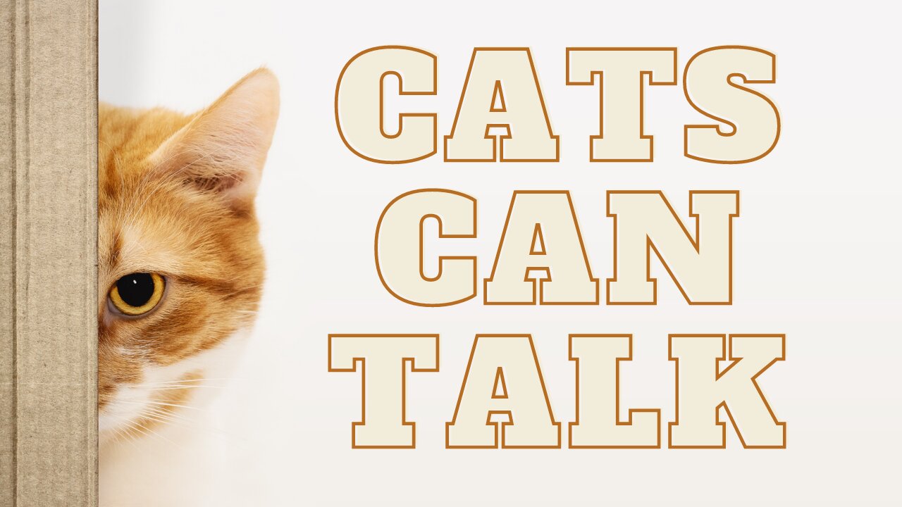 Did you know that cats can TALK LIKE HUMAN!!!😲😲 HERE is the prove