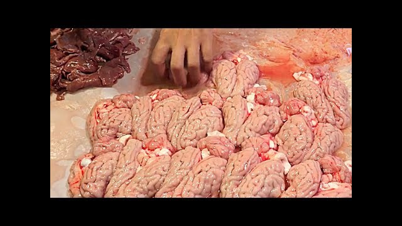 Taiwan Street Food - Sauteed Pig Brain