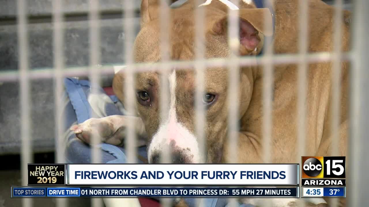 Keeping your furry friends safe during New Year's