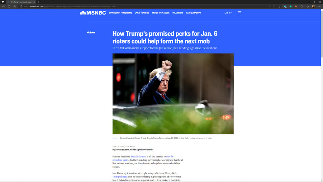 The Leftards at MSNBC say Trump's promised perks for Jan. 6 rioters could help form the next mob!