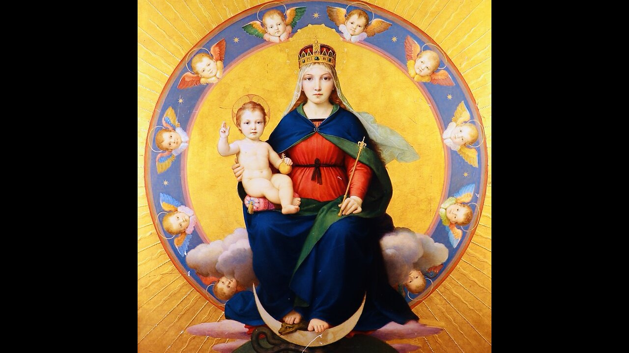 THE IMMACULATE CONSTELLATION | STEVE FLETCHER 222