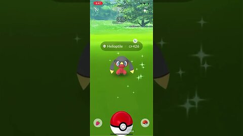 Shiny Compilation