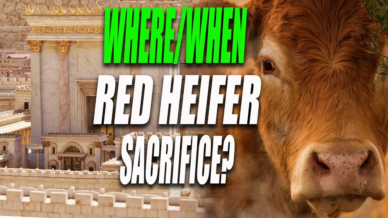 RED HEIFER UPDATE: Secret Sacrifice Site REVEALED - 3rd Temple is Coming