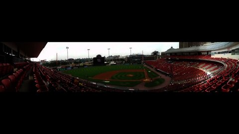 Bisons Baseball 2012