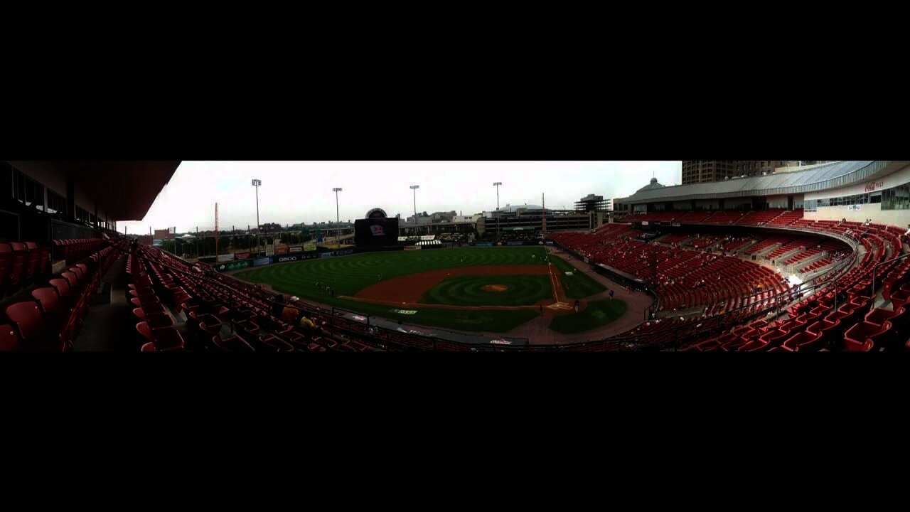 Bisons Baseball 2012