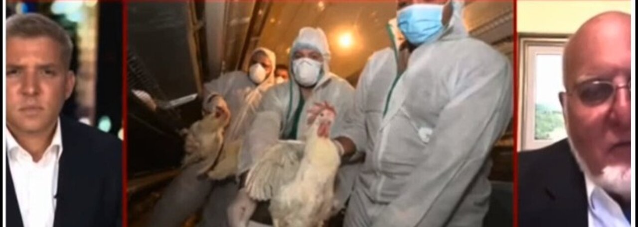 More Bird Flu Deception - Time To Find The Appropriate Neck Tie For These Criminals