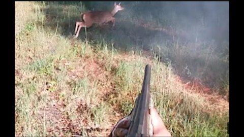 SC Deer Hunting w/ Dogs - Sneaky Deer Buss Out On Me About 5 yards away