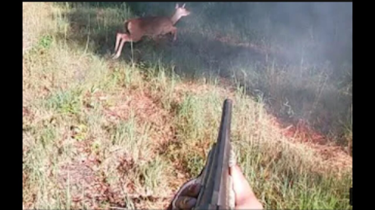 SC Deer Hunting w/ Dogs - Sneaky Deer Buss Out On Me About 5 yards away