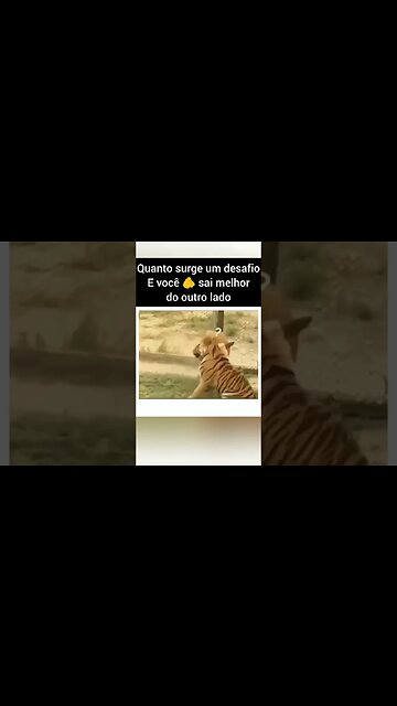 Quanto surge um desafio, E você sai melhor do outro lado