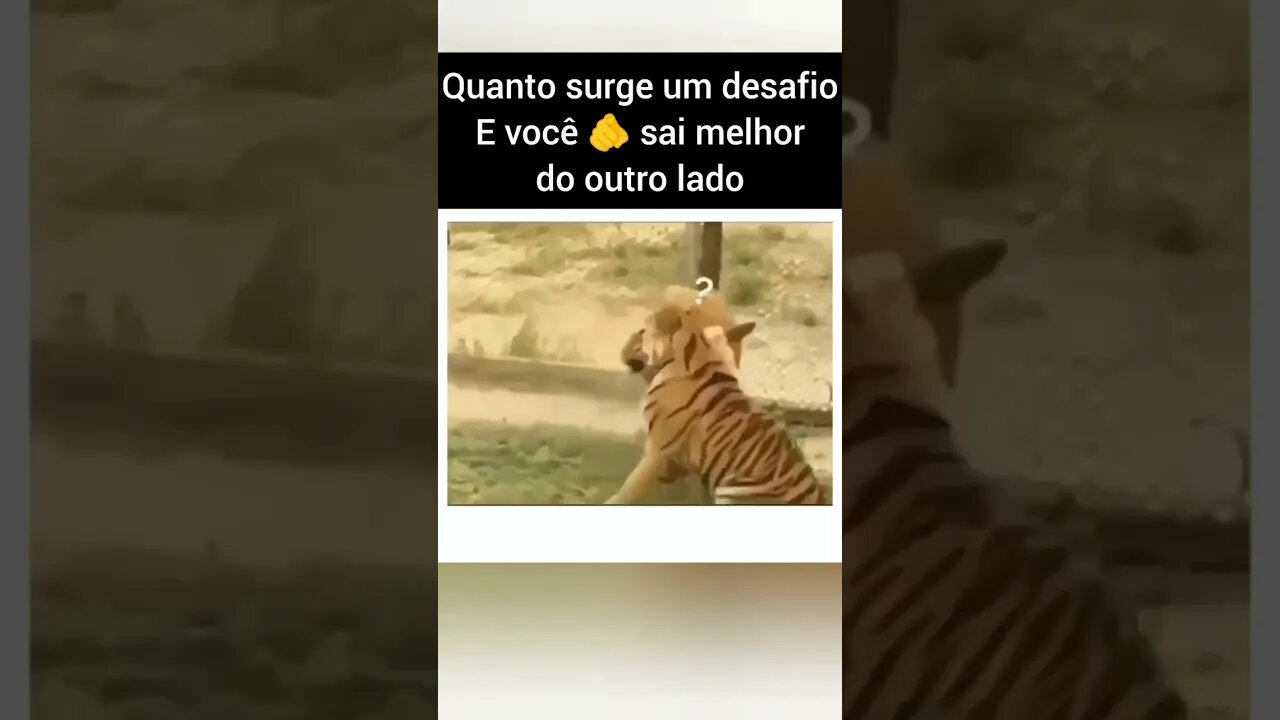 Quanto surge um desafio, E você sai melhor do outro lado