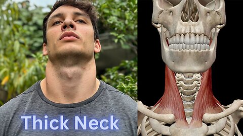 Exercises To Build And Strengthen Your Neck