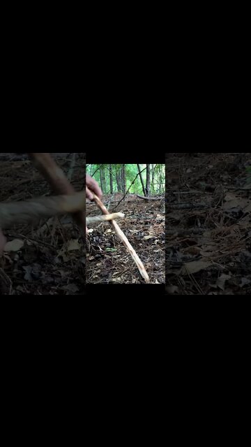 Worm Grunting! #Shorts