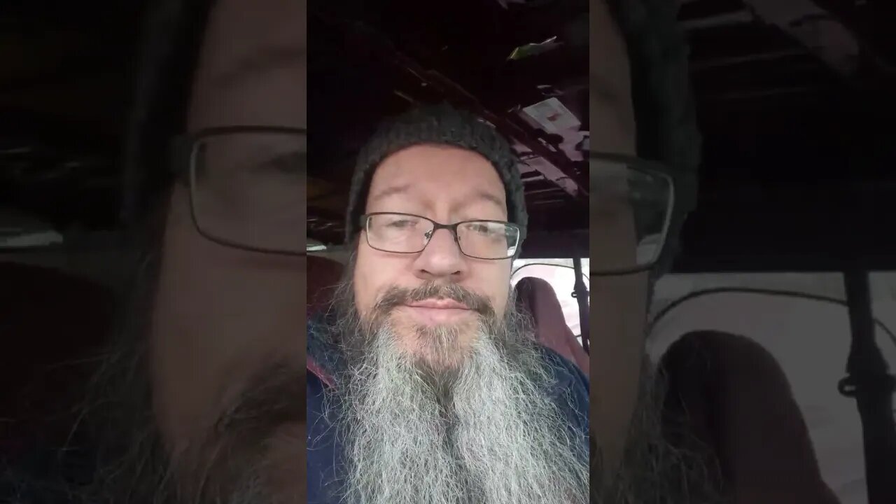 cranes are fun #shorts