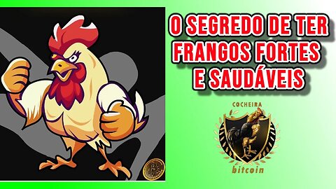 OS SEGREDOS DOS GRANDES CRIATÓRIOS DE AVES FOI REVELADO