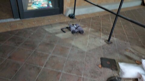 Highland Park Market