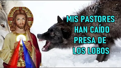 MIS PASTORES HAN CAÍDO PRESA DE LOS LOBOS - MENSAJE DE JESÚS A MANUELA STRACK