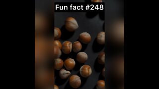 Hazelnuts were symbol of what?