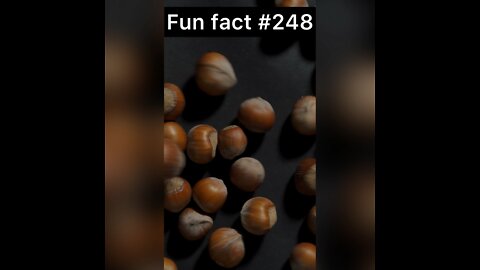 Hazelnuts were symbol of what?