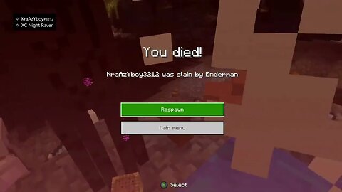 ENDERMEN KILLERS