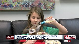 Omaha Girl Scouts sew patches for animals injured in Australia