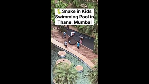 Snake 🐍 in Kids Swimming Pool in Thane, Mumbai