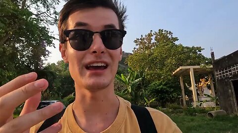 Street Dogs and Monkeys in Thailand! (I Was TERRIFIED)