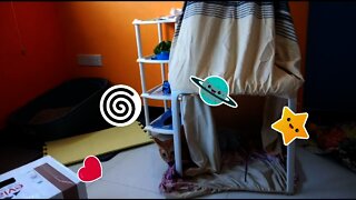 Cat going crazy in room
