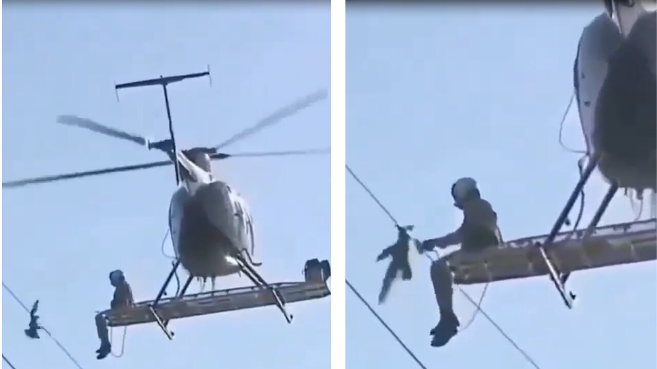 Amazing Bird Rescue in high voltage network
