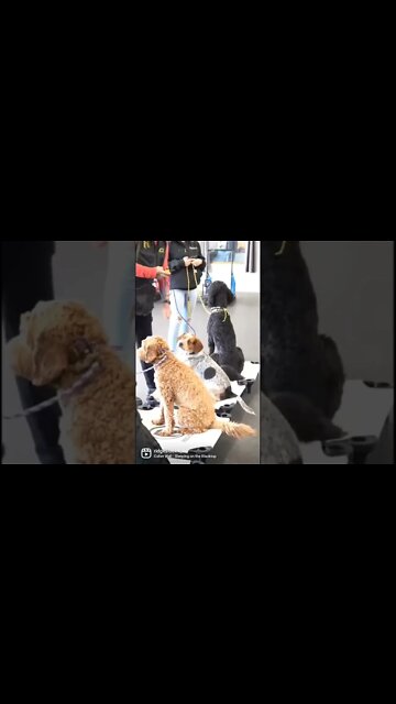 Head Down - push the limits....