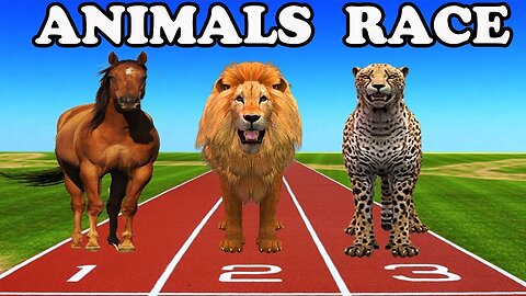 Paint Animals Gorilla Cow Tiger Lion Elephant Fountain Crossing Animal Game