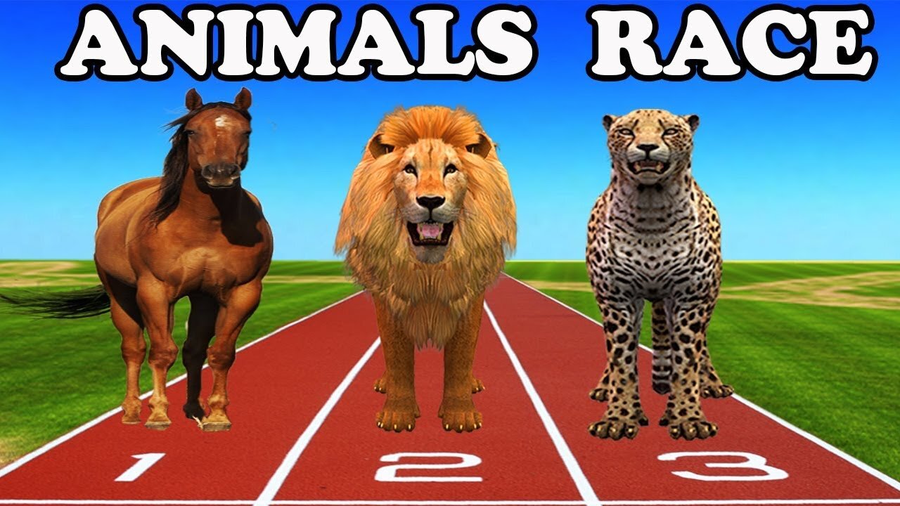 Paint Animals Gorilla Cow Tiger Lion Elephant Fountain Crossing Animal Game