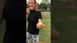 You gotta TAKE IT! ❤️ #shorts #viral #trending #tiktok #garden