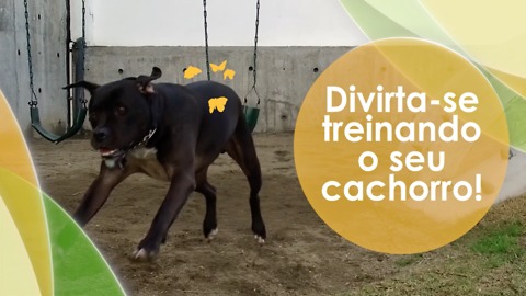 Curte demais treinando.