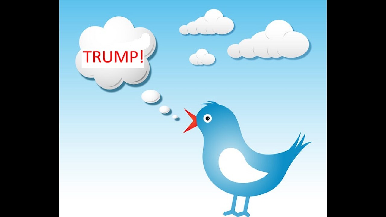 Trump Twitter?