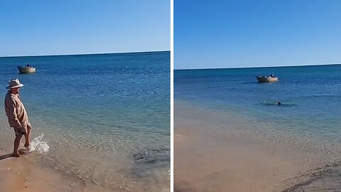 Shark swims insanely close to the shore