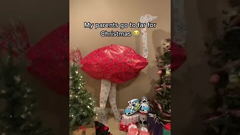 How can you expect the birds