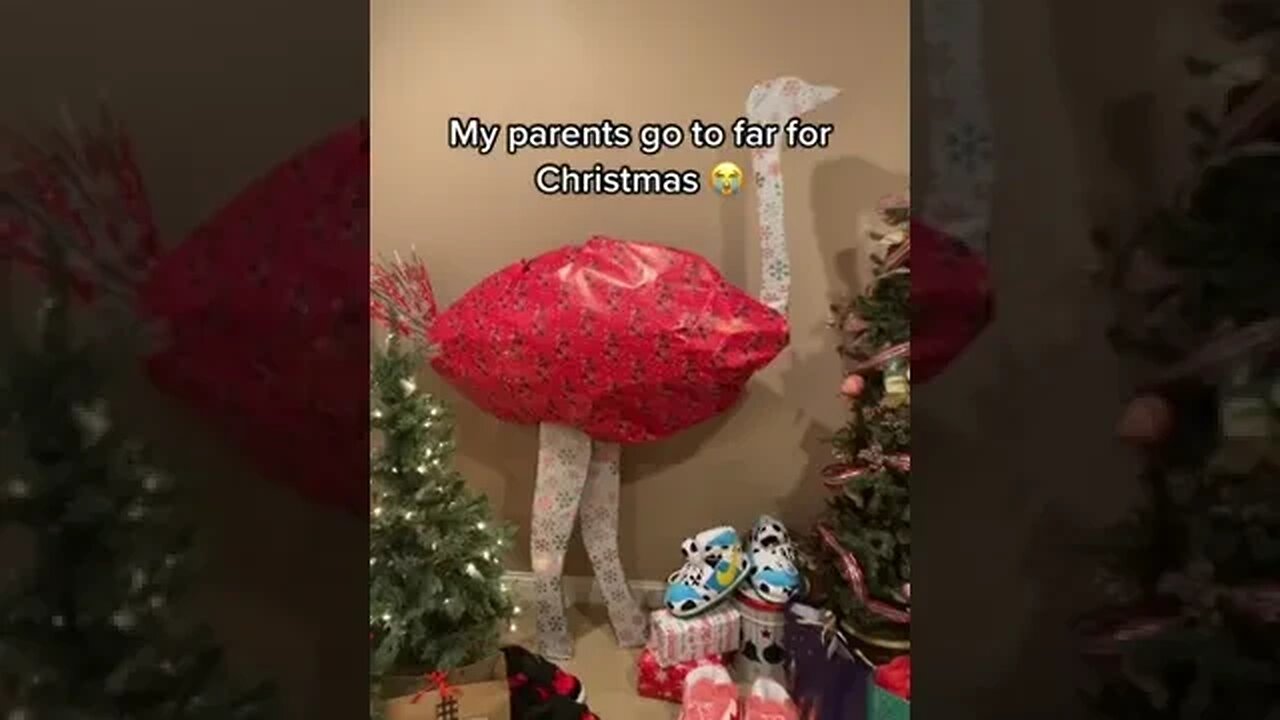 How can you expect the birds