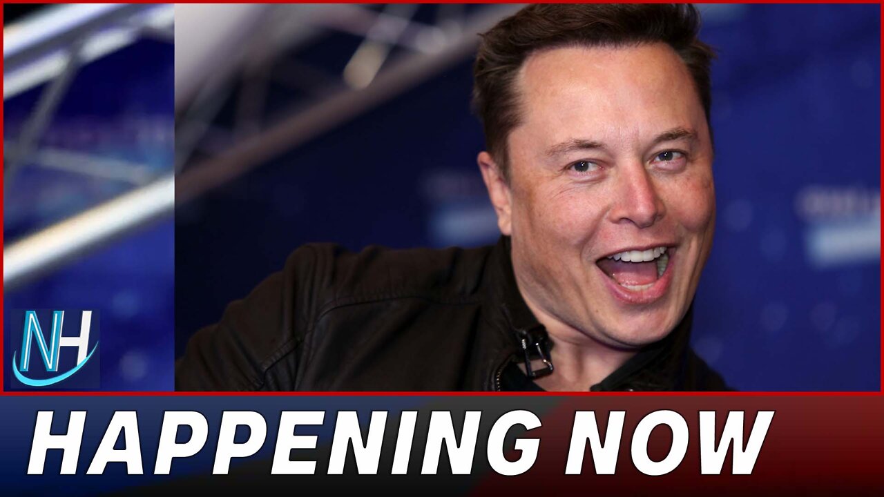 Fox Hosts Blast Musk Over Confusing Stance Over Tesla Layoff Comment, Twitter Dealings