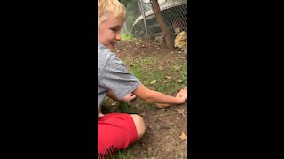 Chipmunk 🐿 aka Chippy 2