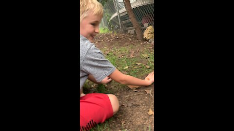 Chipmunk 🐿 aka Chippy 2