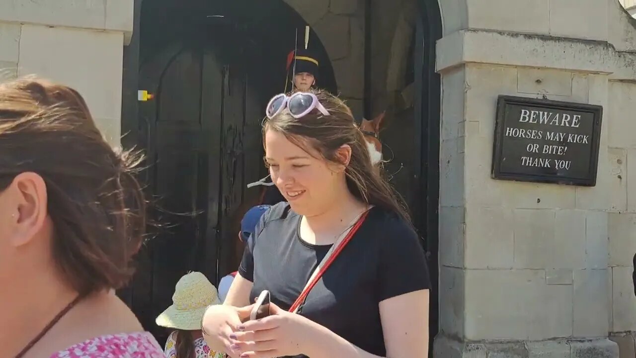 Horse wants what's in you're bag #horseguardsparade