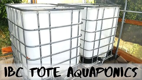 Aquaponic system Renovation part 7 (leveling and moving the ibc totes)