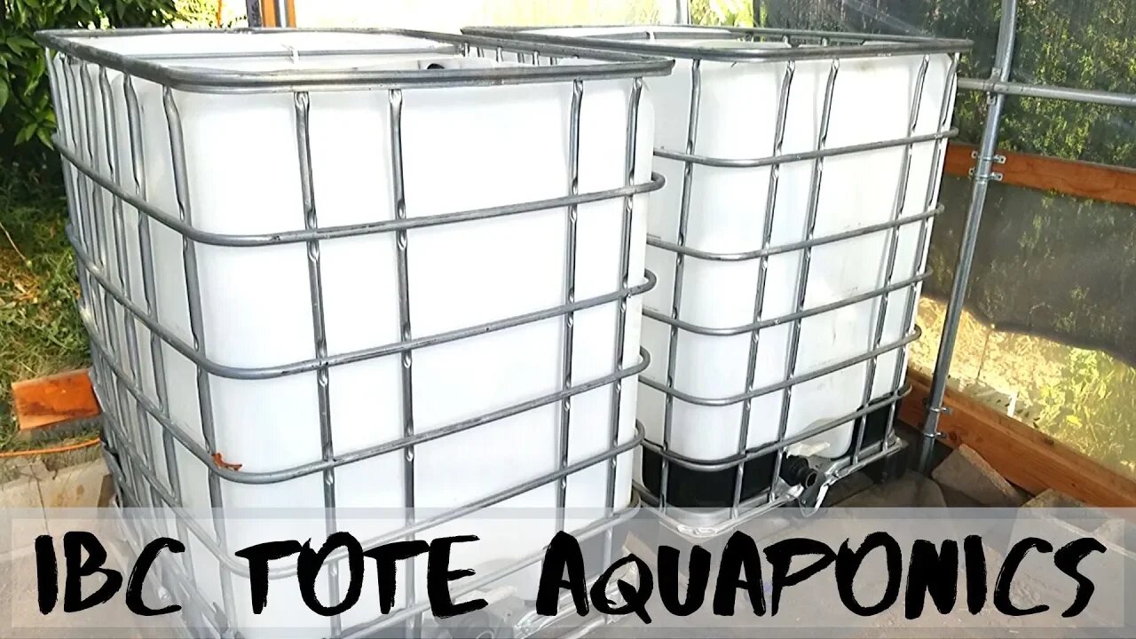 Aquaponic system Renovation part 7 (leveling and moving the ibc totes)