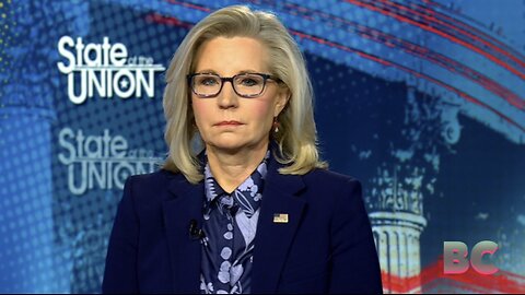 Cheney warns of ‘Putin wing of Republican party’